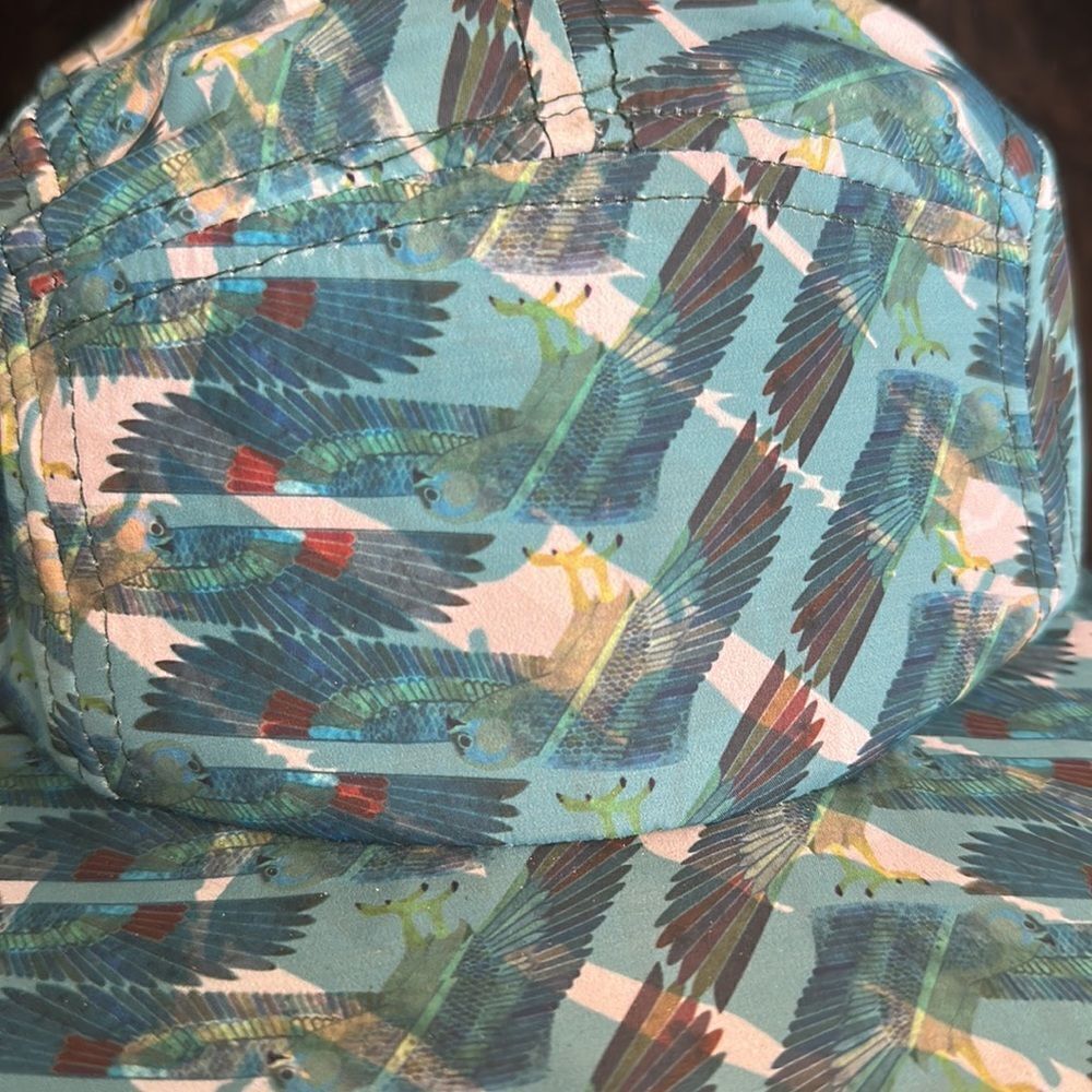 Truth cap (4200A) - Picture 2 of 5